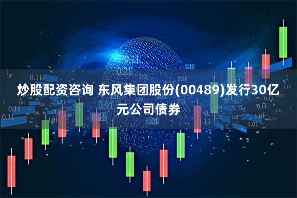 炒股配资咨询 东风集团股份(00489)发行30亿元公司债券