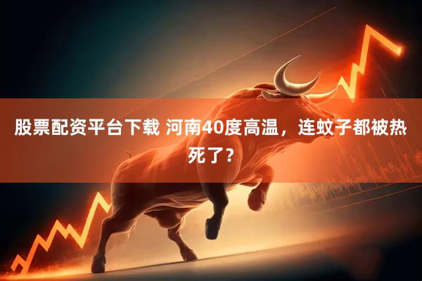 股票配资平台下载 河南40度高温，连蚊子都被热死了？